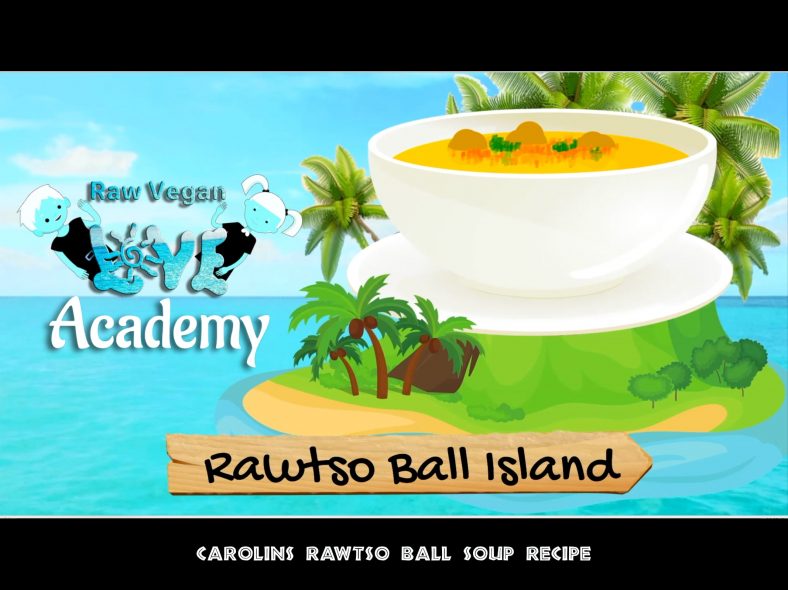 Day 1 – Rawtzo Ball Island